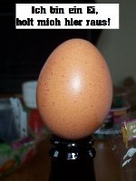 Ameland-Wochenende07