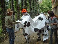 Pfarrfest-Kuhroulette15