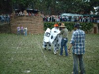 Pfarrfest-Kuhroulette16