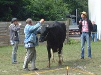 Pfarrfest-Kuhroulette19