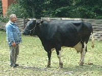 Pfarrfest-Kuhroulette20