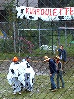 Pfarrfest-Kuhroulette21