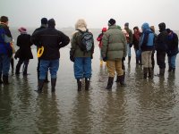 Dornumersiel-Fahrt2005_12