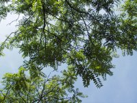 Fahrradtour zum Landschaftspark Duisburg-Nord6