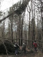 MiB-Fahrt nach Hirschhagen 11