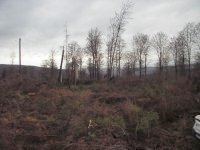 MiB-Fahrt nach Hirschhagen 13