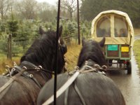 MiB-Fahrt nach Sundern-Stockum 06