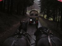 MiB-Fahrt nach Sundern-Stockum 09