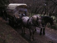 MiB-Fahrt nach Sundern-Stockum 12