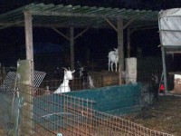 Polterabend von Christian und Svenja 12