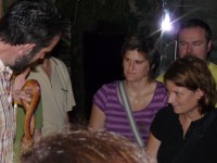 Nachtf&uuml;hrung im Duisburger Zoo 1