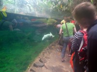 Nachtf&uuml;hrung im Duisburger Zoo 2