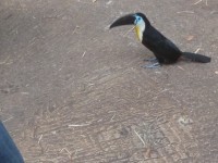 Nachtf&uuml;hrung im Duisburger Zoo 3