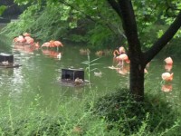 Nachtf&uuml;hrung im Duisburger Zoo 4
