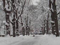 MiB-Fahrt nach L&uuml;denscheid 08