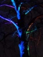 Besuch des Parkleuchtens 02