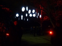 Besuch des Parkleuchtens 06