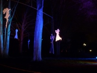 Besuch des Parkleuchtens 10