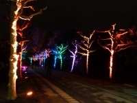 Besuch des Parkleuchtens 12