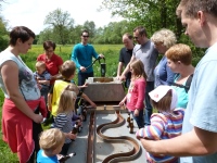 MiB-Fahrt vom 28.05. bis 01.06.2014 010