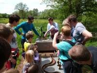 MiB-Fahrt vom 28.05. bis 01.06.2014 011