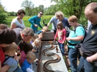 MiB-Fahrt vom 28.05. bis 01.06.2014 012