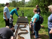 MiB-Fahrt vom 28.05. bis 01.06.2014 013