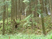 MiB-Fahrt vom 28.05. bis 01.06.2014 019