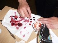 MiB-Fahrt vom 28.05. bis 01.06.2014 028