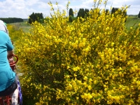 MiB-Fahrt vom 28.05. bis 01.06.2014 101