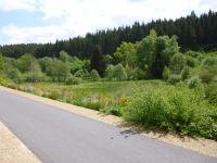 MiB-Fahrt vom 28.05. bis 01.06.2014 105