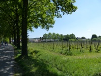 MiB-Fahrt vom 13. bis 17.05.2015 Groesbeek 10