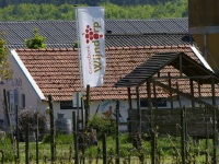 MiB-Fahrt vom 13. bis 17.05.2015 Groesbeek 53