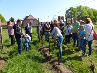 MiB-Fahrt vom 13. bis 17.05.2015 Groesbeek 66