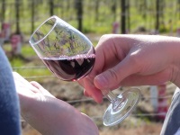 MiB-Fahrt vom 13. bis 17.05.2015 Groesbeek 71